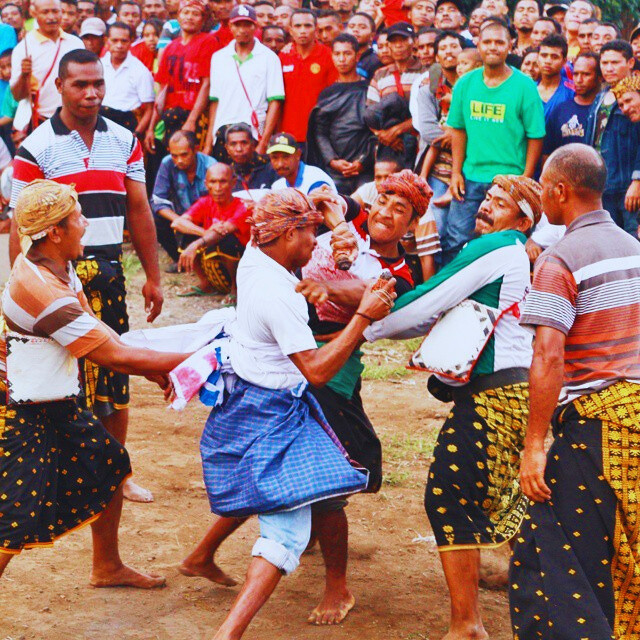 Tinju Adat/Sagi: Warisan Budaya yang Menggetarkan dari Bajawa, Flores