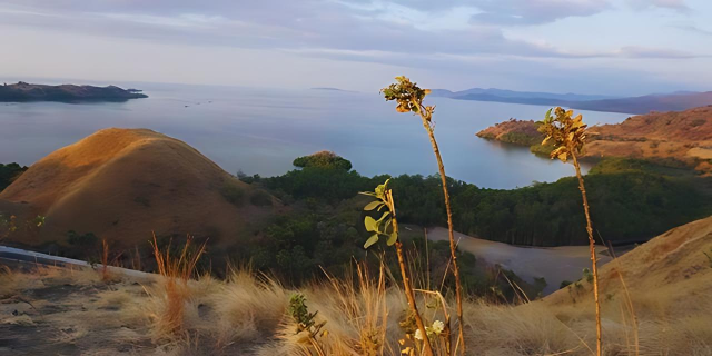 Bukit Sylvia: Wisata Alam di Labuan Bajo yang Wajib Dikunjungi