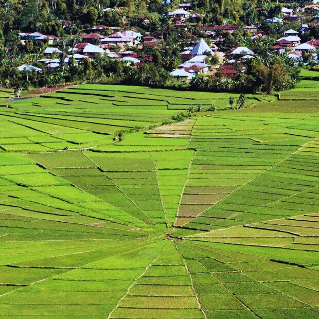 Ruteng: Kota Sejuk di Tanah Flores