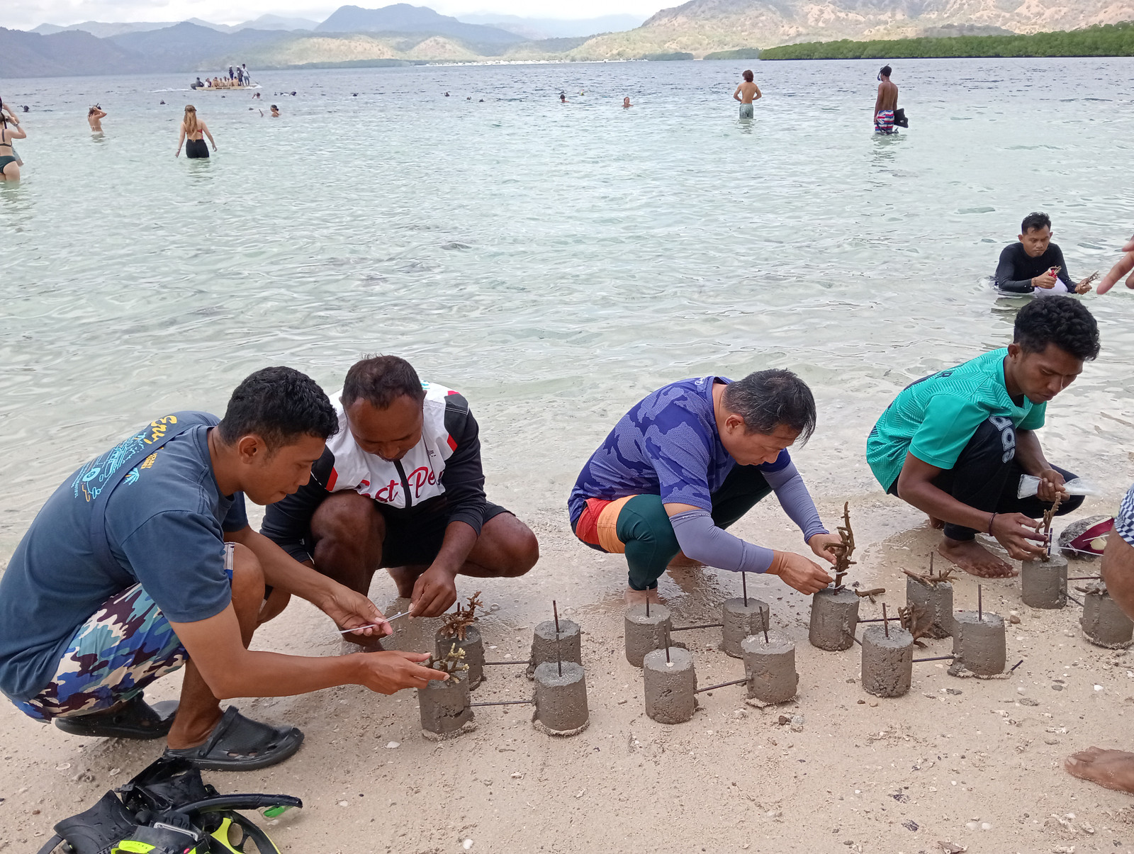 coral planting12